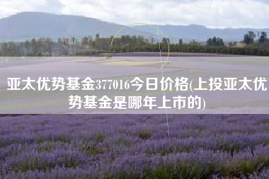 亚太优势基金377016今日价格(上投亚太优势基金是哪年上市的)