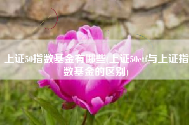 上证50指数基金有哪些(上证50etf与上证指数基金的区别)