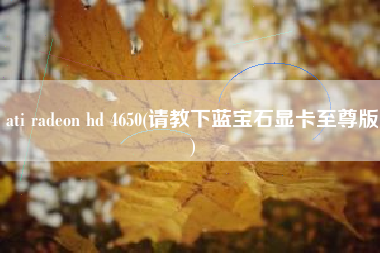 ati radeon hd 4650(请教下蓝宝石显卡至尊版)