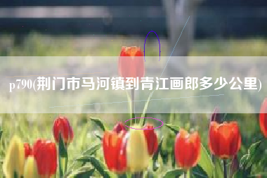 p790(荆门市马河镇到青江画郎多少公里)