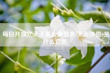 每日开放式天天基金净值表(天天净值0是什么意思)