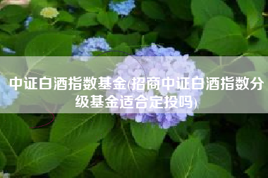 中证白酒指数基金(招商中证白酒指数分级基金适合定投吗)