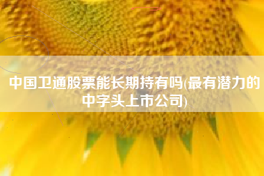 中国卫通股票能长期持有吗(最有潜力的中字头上市公司)
