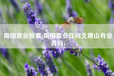 南国置业股票(南国置业在河北唐山有业务吗)