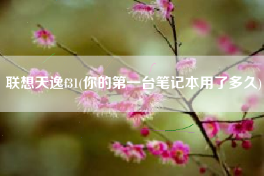 联想天逸f31(你的第一台笔记本用了多久)