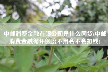 中邮消费金融有限公司是什么网贷(中邮消费金融循环额度不用会不会扣钱)