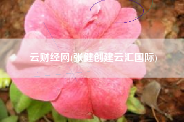 云财经网(张健创建云汇国际)