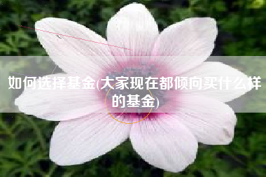 如何选择基金(大家现在都倾向买什么样的基金)
