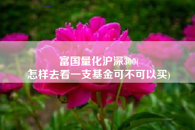 富国量化沪深300(
怎样去看一支基金可不可以买) 富国量化沪深300(
怎样去看一支基金可不可以买)