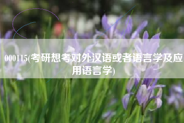 000115(考研想考对外汉语或者语言学及应用语言学)