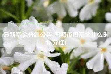 最新基金分红公告(国海市值基金什么时候分红)