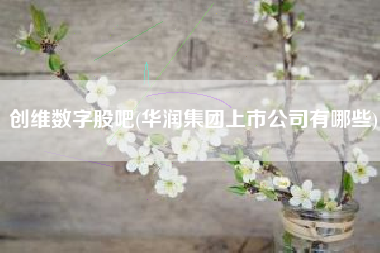 创维数字股吧(华润集团上市公司有哪些)