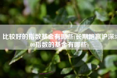 比较好的指数基金有哪些(长期跑赢沪深300指数的基金有哪些)