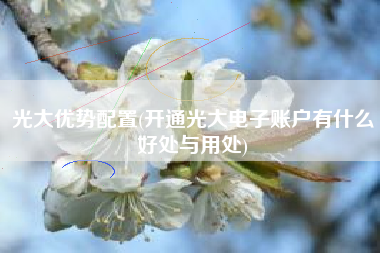 光大优势配置(开通光大电子账户有什么好处与用处)