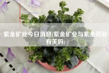 紫金矿业今日消息(紫金矿业与紫金药业有关吗)
