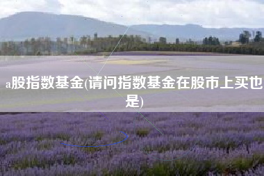 a股指数基金(请问指数基金在股市上买也是)