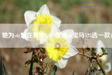 驰为v6(想在奔驰E300奥迪a6宝马525选一款)