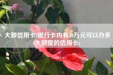 大额信用卡(银行卡内有30万元可以办多大额度的信用卡)
