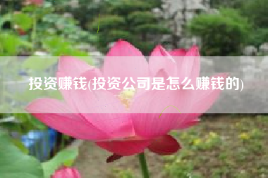投资赚钱(投资公司是怎么赚钱的)