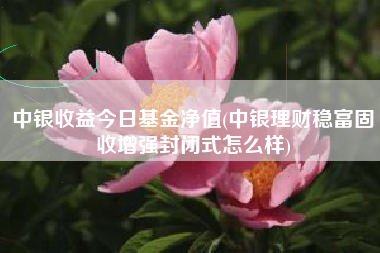 中银收益今日基金净值(中银理财稳富固收增强封闭式怎么样)