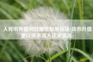 人民币升值利好哪些股票板块(货币升值是让资本流入还是流出)