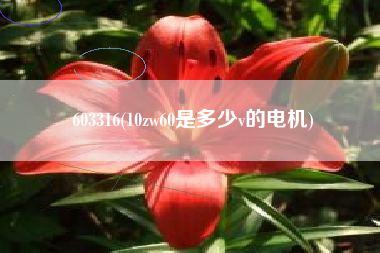603316(10zw60是多少v的电机)