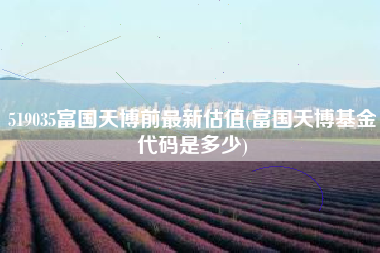 519035富国天博前最新估值(富国天博基金代码是多少)