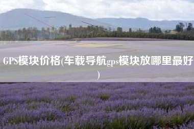 GPS模块价格(车载导航gps模块放哪里最好)