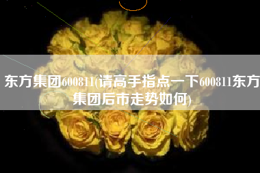 东方集团600811(请高手指点一下600811东方集团后市走势如何)