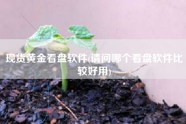 现货黄金看盘软件(请问哪个看盘软件比较好用)
