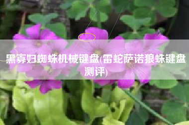 黑寡妇蜘蛛机械键盘(雷蛇萨诺狼蛛键盘测评)