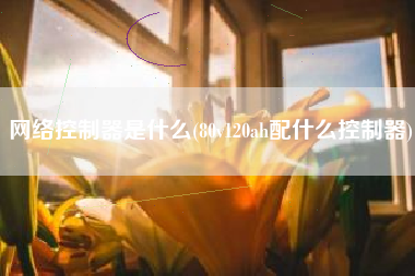 网络控制器是什么(80v120ah配什么控制器)
