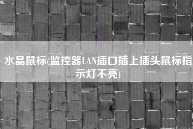 水晶鼠标(监控器LAN插口插上插头鼠标指示灯不亮)