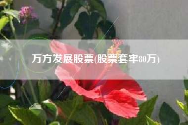 万方发展股票(股票套牢80万)