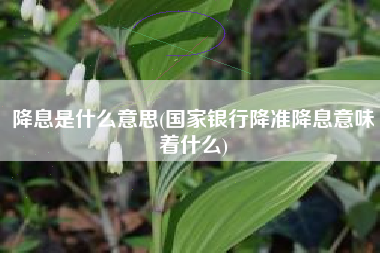 降息是什么意思(国家银行降准降息意味着什么)