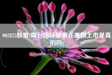 002825股票(南台国际股票在美国上市是真的吗)