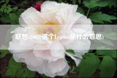 联想s2005(这个Lenovo是什么意思)