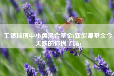 工银瑞信中小盘混合基金(新能源基金今天跌的你慌了吗)