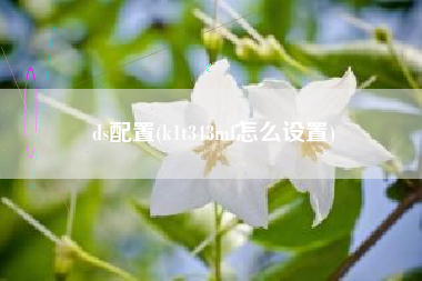 ds配置(k1t343mf怎么设置)