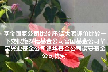 基金哪家公司比较好(请大家评价比较一下交银施罗德基金公司富国基金公司华宝兴业基金公司银华基金公司诺安基金公司优劣)