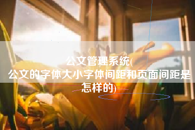 公文管理系统(
公文的字体大小字体间距和页面间距是怎样的) 公文管理系统(
公文的字体大小字体间距和页面间距是怎样的)