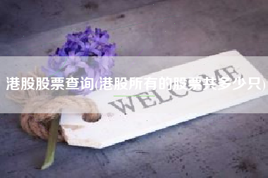 港股股票查询(港股所有的股票共多少只)