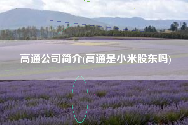高通公司简介(高通是小米股东吗)