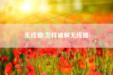 无线猫(怎样破解无线猫)