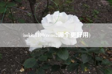 nokia1100(reno2哪个更好用)