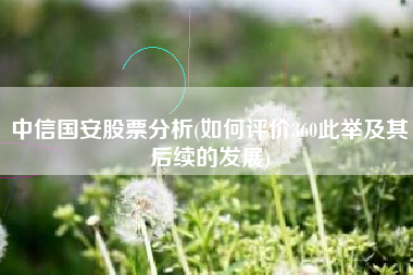 中信国安股票分析(如何评价360此举及其后续的发展)