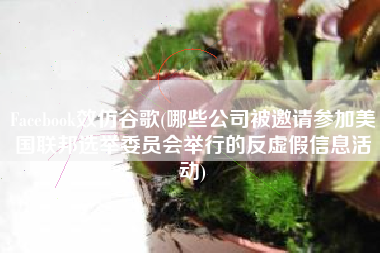 Facebook效仿谷歌(哪些公司被邀请参加美国联邦选举委员会举行的反虚假信息活动)