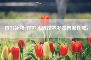 容升冰箱(容声冰箱双蒸发器有哪几款)