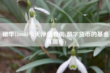 银华180003今天净值查询(数字货币的基金有哪些)