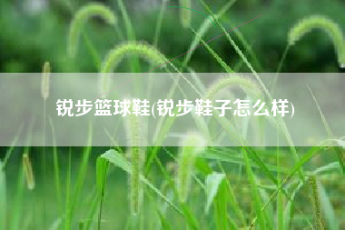 锐步篮球鞋(锐步鞋子怎么样)